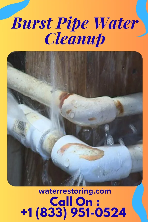 Burst Pipe Water Cleanup in Parker, SD